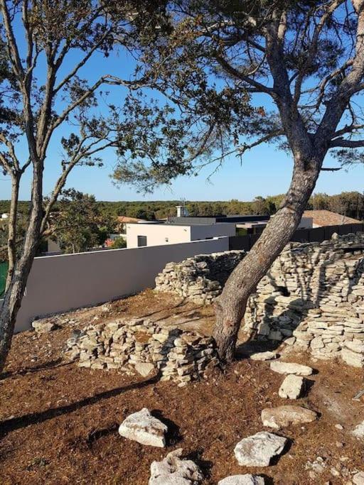Villa Neuve Avec Piscine ボニファシオ エクステリア 写真