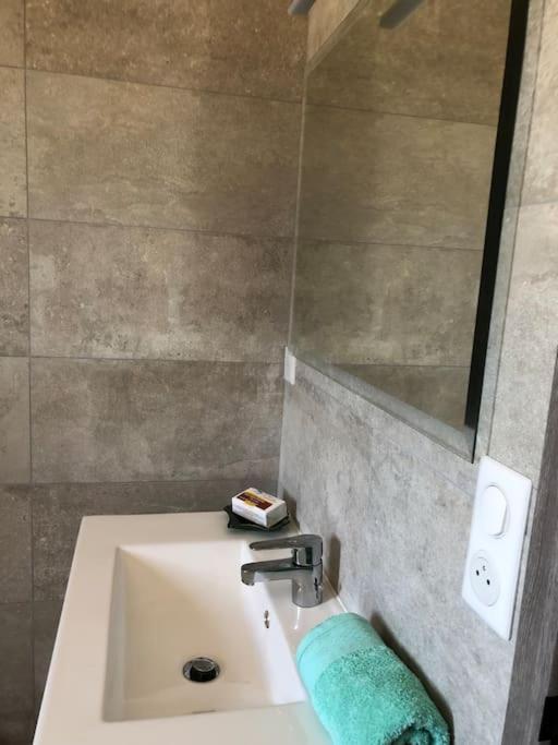 Villa Neuve Avec Piscine ボニファシオ エクステリア 写真