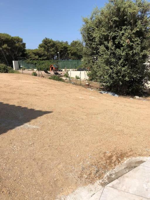 Villa Neuve Avec Piscine ボニファシオ エクステリア 写真
